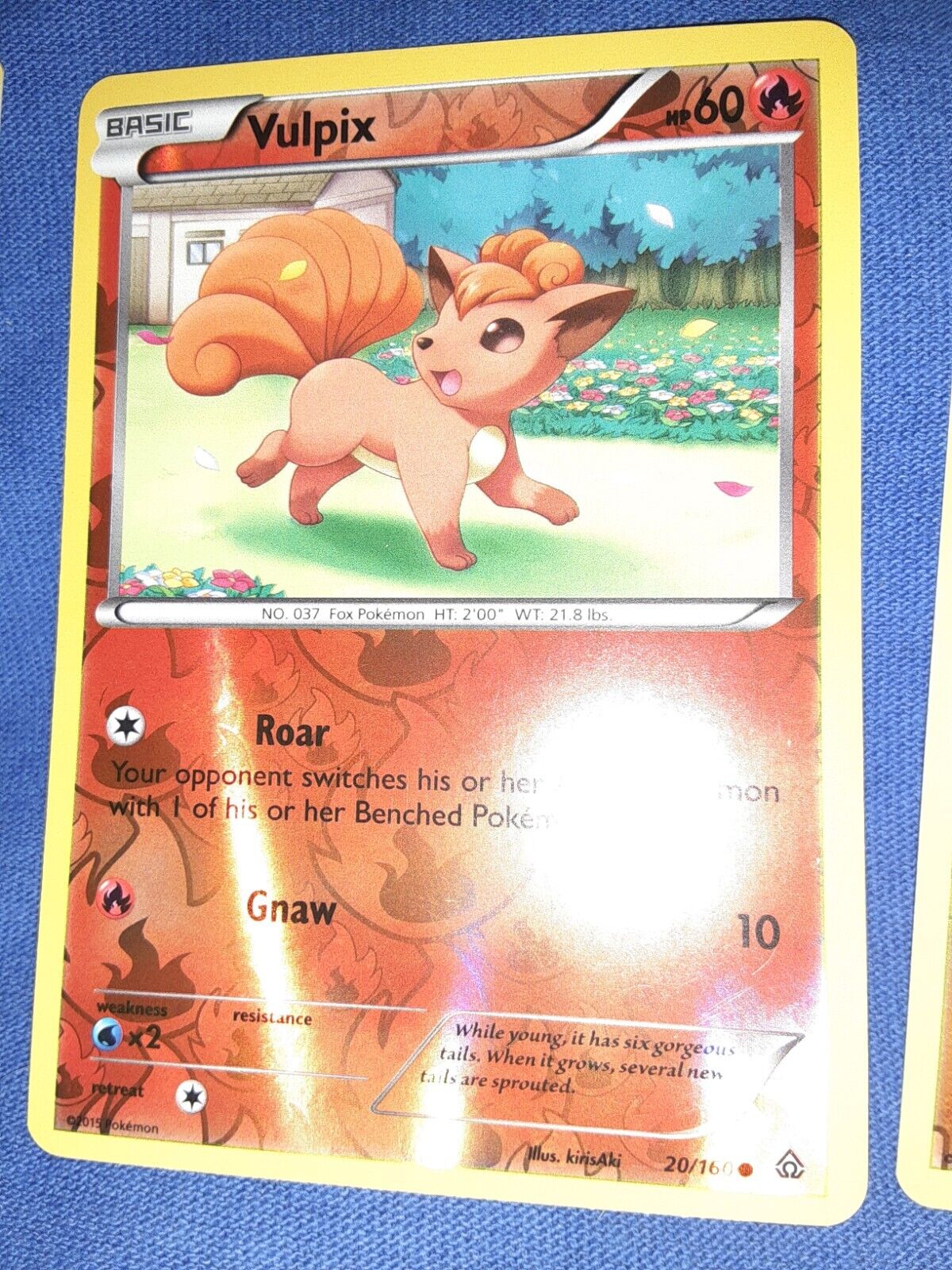 Foto 1 di 1