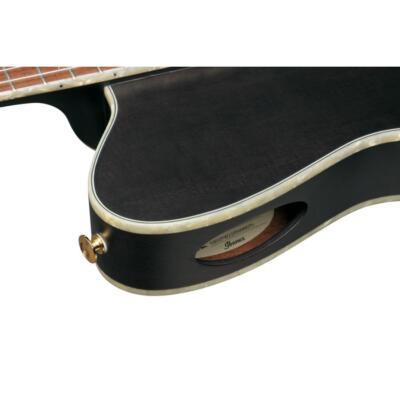Ibanez TOD10N-TKF Transparent Black Flat Tim Henson