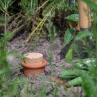 Bild 2 von 24
