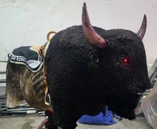 Mechanical Bull Buffalo Real Sheep Leather