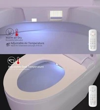 Dual Flush Toilet One-Piece + Remote Control Warm Dryer Night Light Foot Sensor