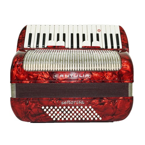 Hohner Amica Forte IV 96 Chromatic 37 Key Piano Accordion Black w