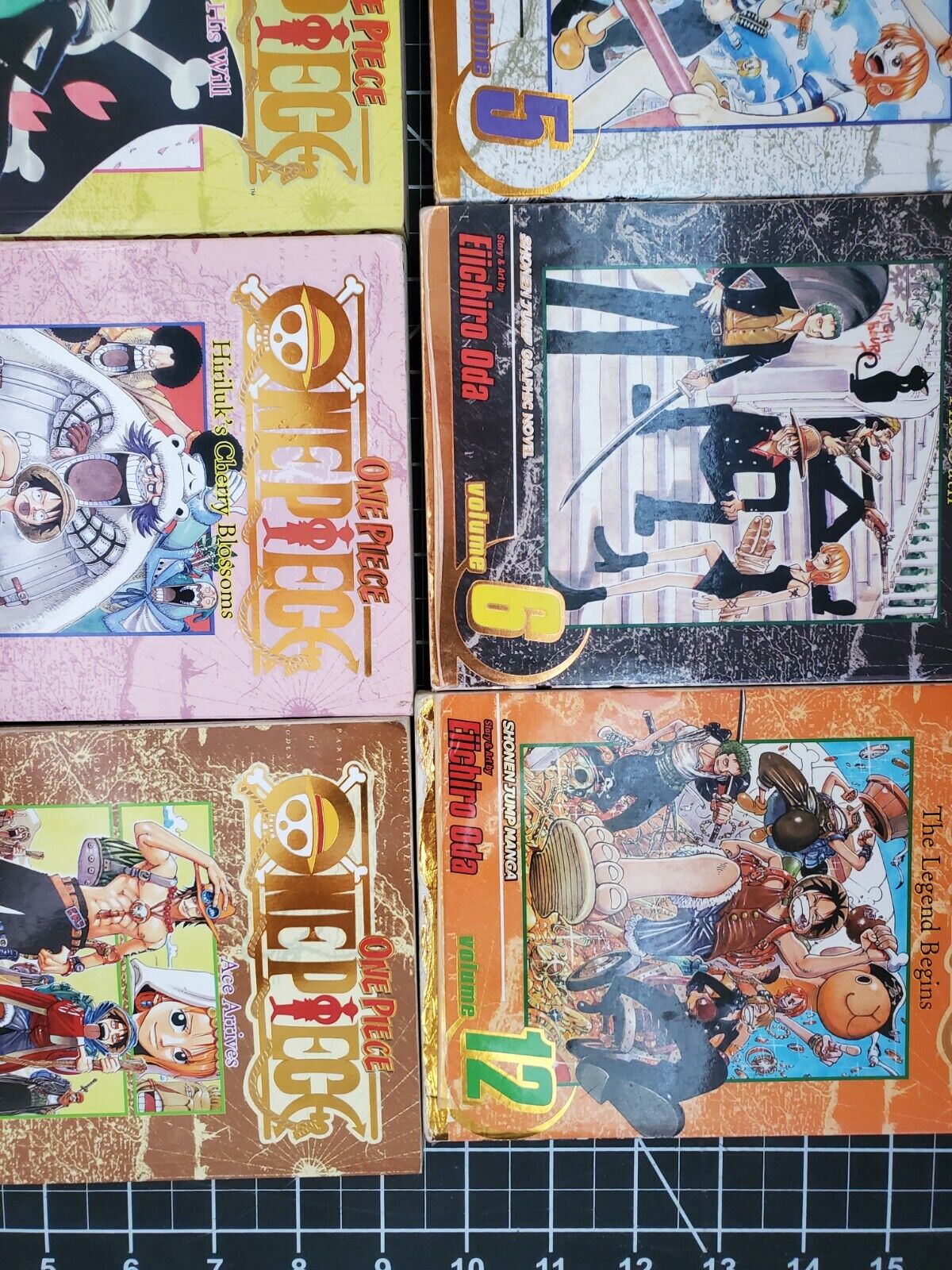 One Piece (RARE) Gold Foil Volume 1 first edition