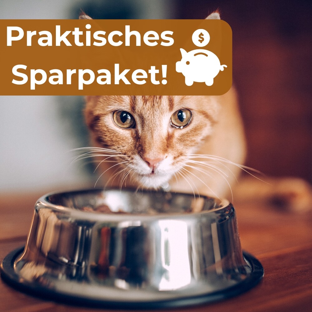 Bild 6 von 6