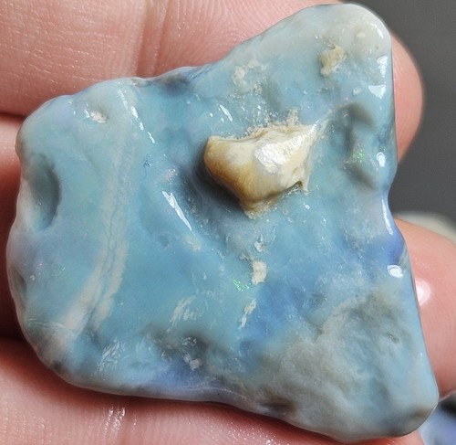 Lightning Ridge Opal Rough Parcel Blue Green Purple Lapidary 546.3 Ct Australian - Bild 23 von 24