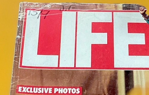 Life Magazine Victims Chernobyl August 1986 Vol 9 Vintage Advertising Mandela - Picture 3 of 9