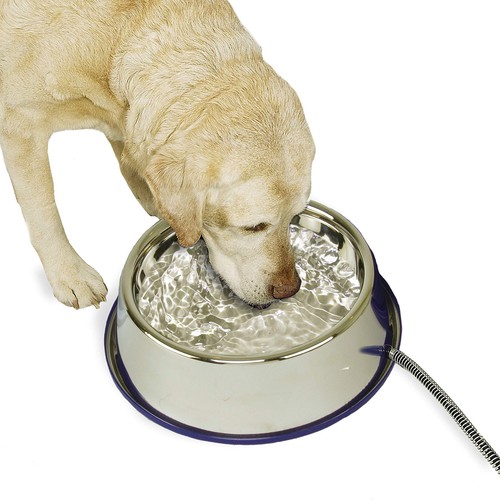 Tazón de agua térmico de acero inoxidable con calefacción para mascotas de 102 onzas para clima frío - Imagen 1 de 9
