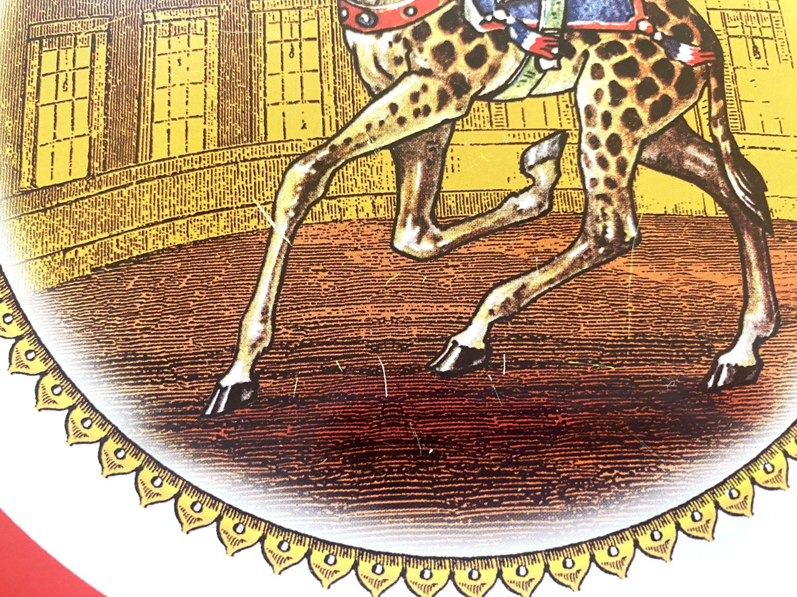 Picture 7 of 8
