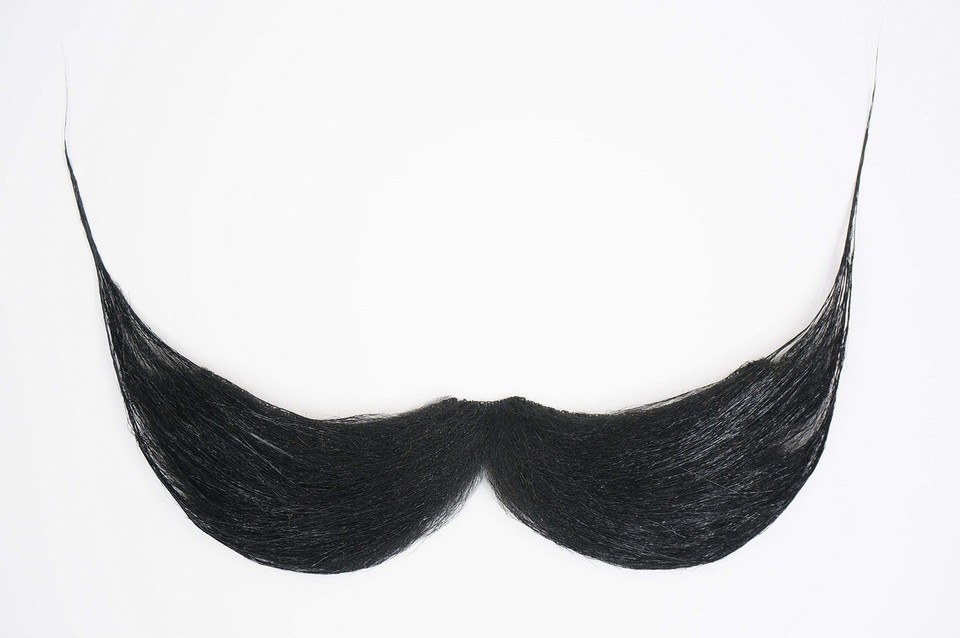Self Adhesive Fisherman's Fake Mustache, Novelty, False Hair, Costume