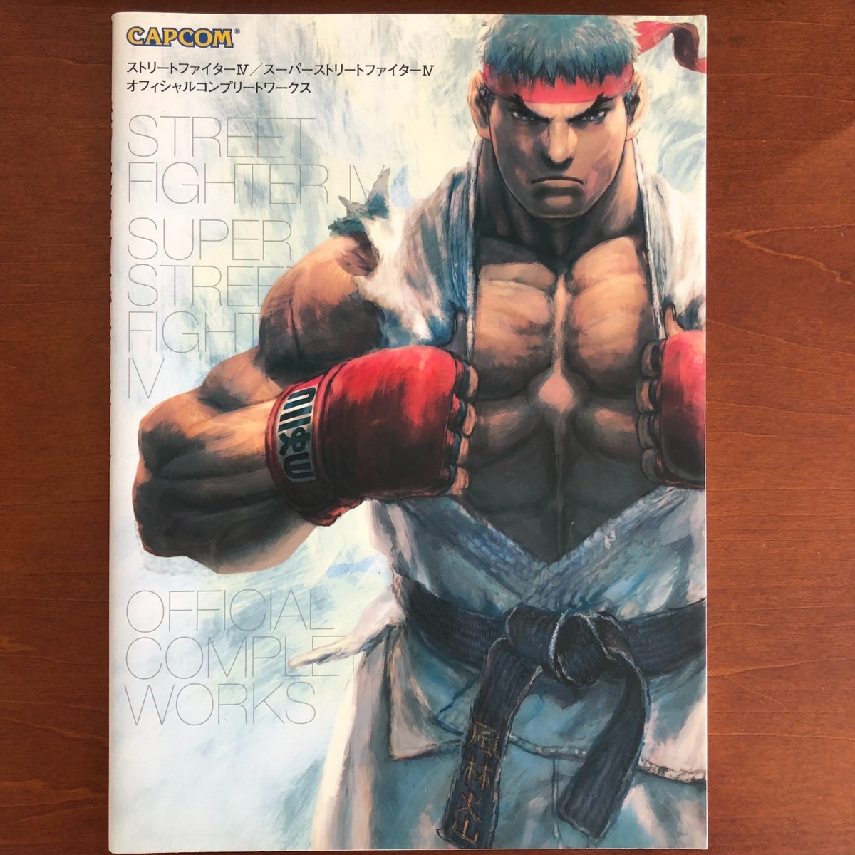 Street Fighter IV Official Complete Works Art Book Illustration | eBay