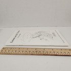 Picture 10 of 14