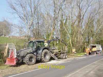 Foto 6x4 Baumfällung, Masefield Vale, Gaer, Newport Newport\/Casnewydd um 2022
