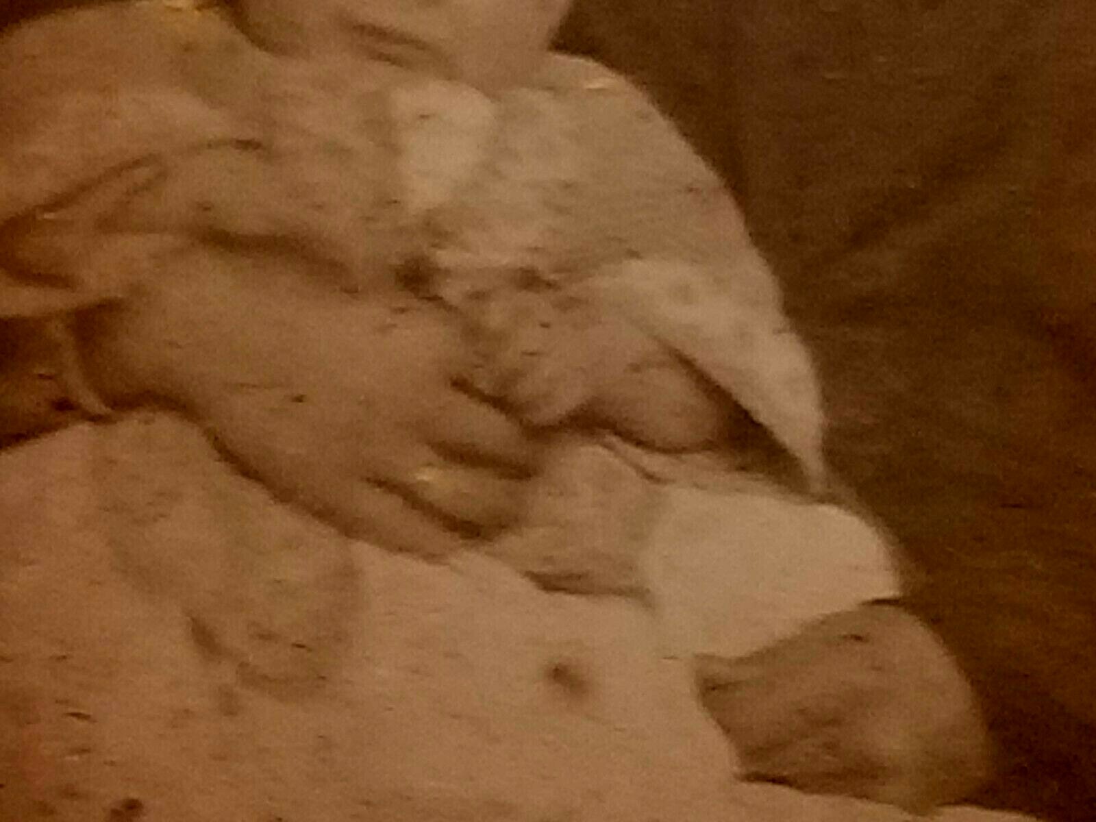 Foto 5 di 11
