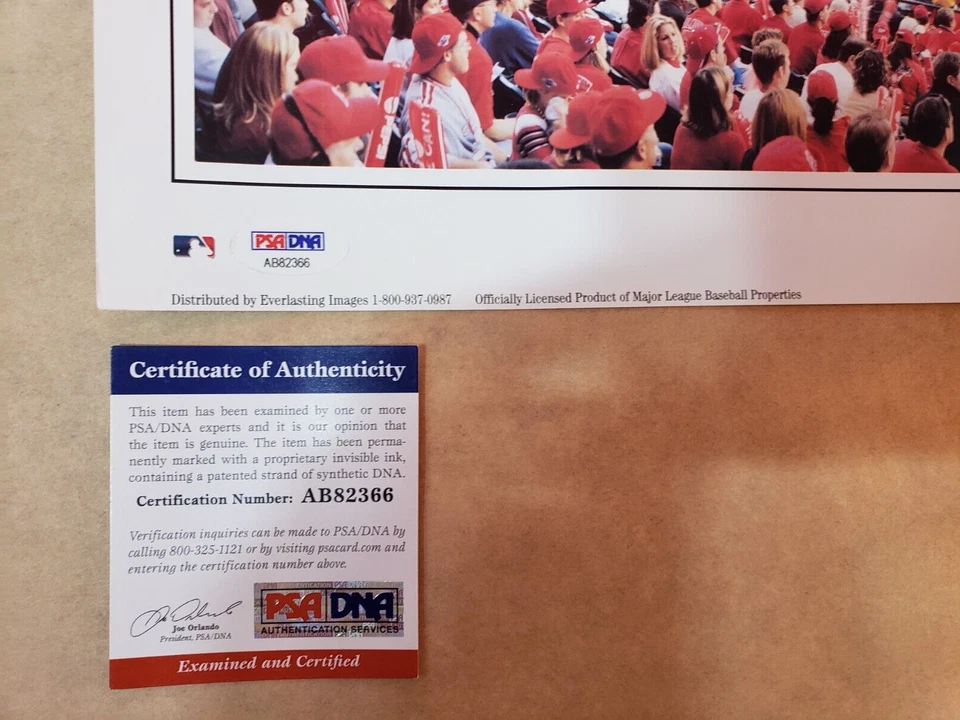 Póster fotográfico firmado por Tim Salmon 9,5x27 The Magical Comeback (PSA) de los Angelinos de béisbol Foto 4 de 4