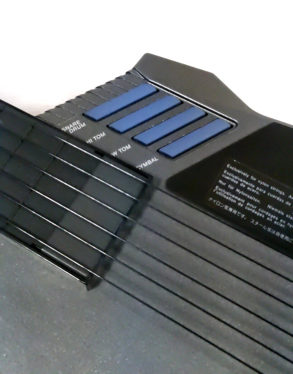 CASIO DG-20 Digital Electric Guitar Synthesizer - Unique CASIO DG-20 Digital Electric Guitar Synthesizer - Unique