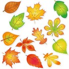 Outus 60 Pcs Fall Bulletin Board Decorations Cutouts Autumn Colors 
