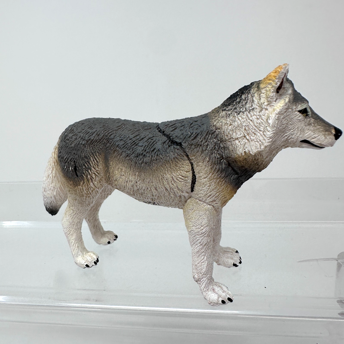 Safari Ltd Gray Wolf Figure Wild Dog Wildlife Zoo Jungle Animal