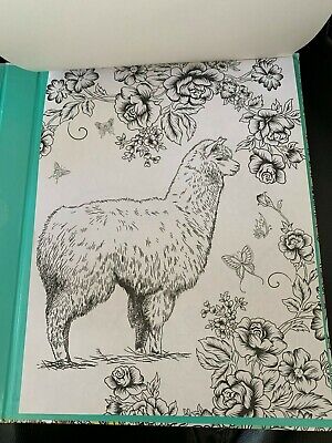 llamas & more coloring kit