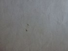 Picture 5 of 5