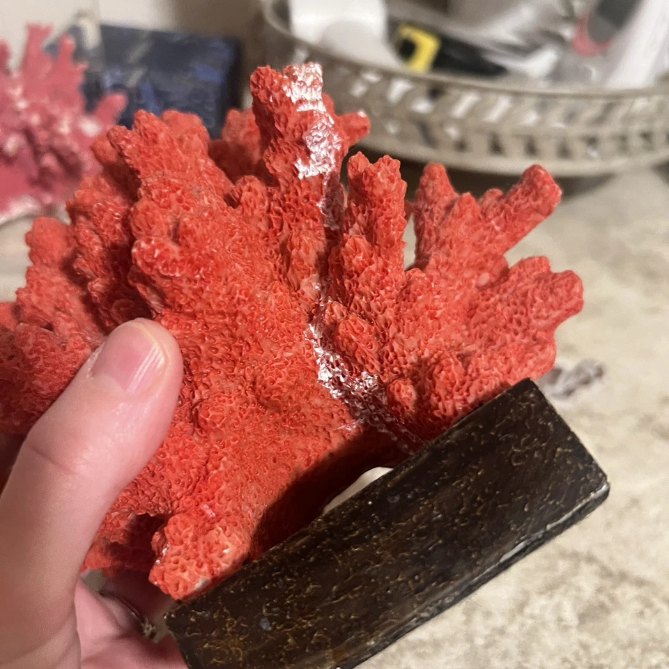 Escultura de coral rojo sintético Sterling Industries en base decoración costera acento Foto 3 de 4