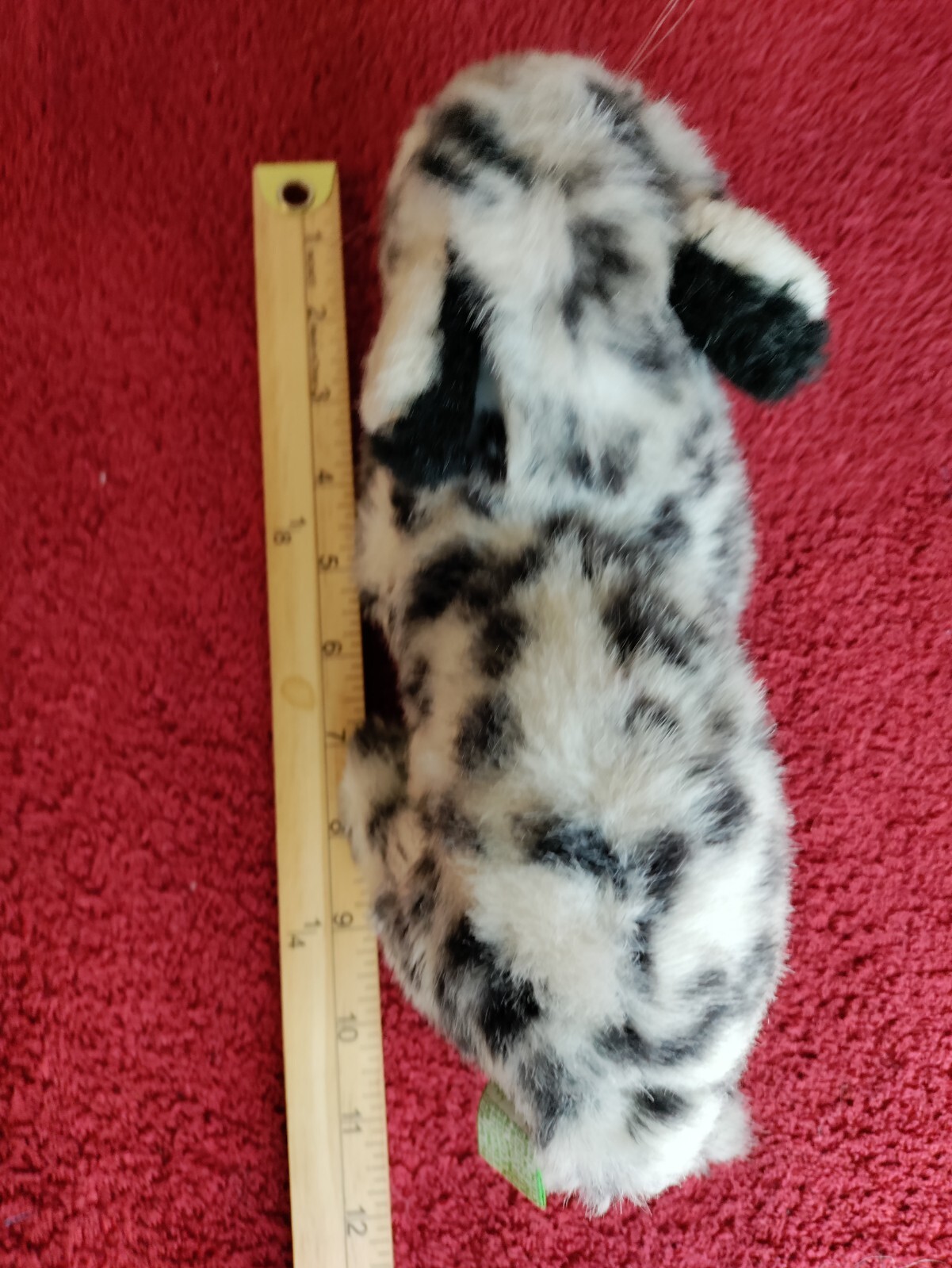 Picture 5 of 5