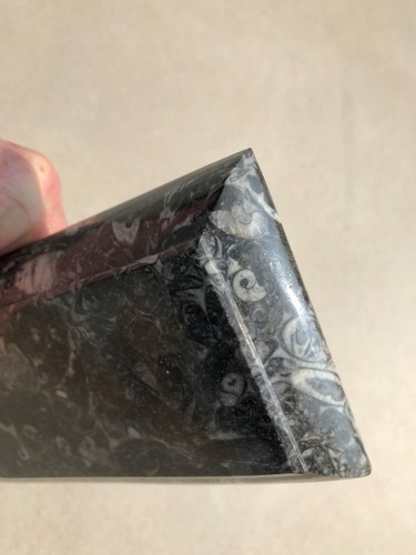 Organisateur de bureau exclusif fossile plateau stylo cadeaux fête des pères - Photo 10/10