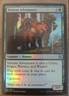 Veteran Adventurer - #218 - Foil - Uncommon - MTG - Z,Rising - Great Condition !