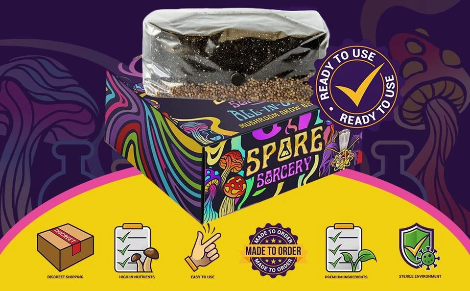 4lb All-in-One Mushroom Grow Bag | Easy To Use |  New Size! - Image 3 of 4