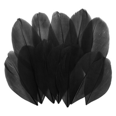 150 Pcs Black Craft Goose Feathers 2-3.1 Inch Feathers Bulk for Crafting