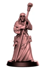 Young Wizard Dragonlance Fantasy Miniature D&D Pathfinder Tabletop Game PRG RNE