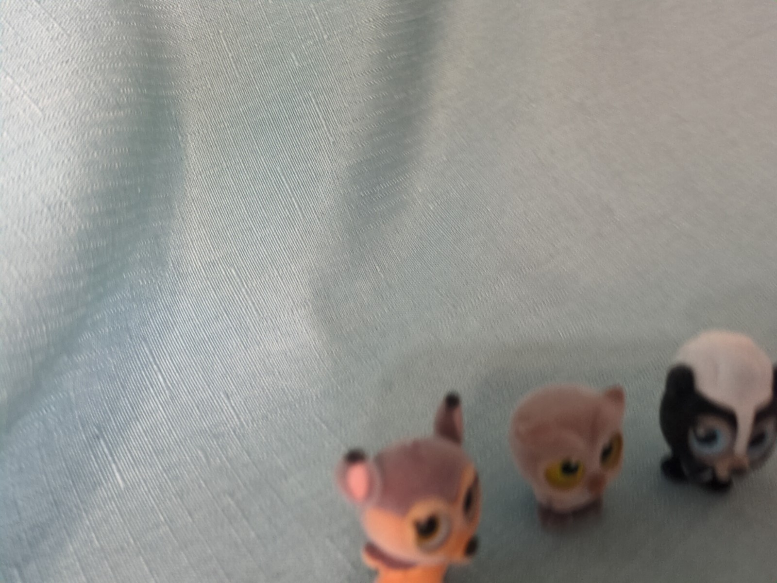 Picture 4 of 12