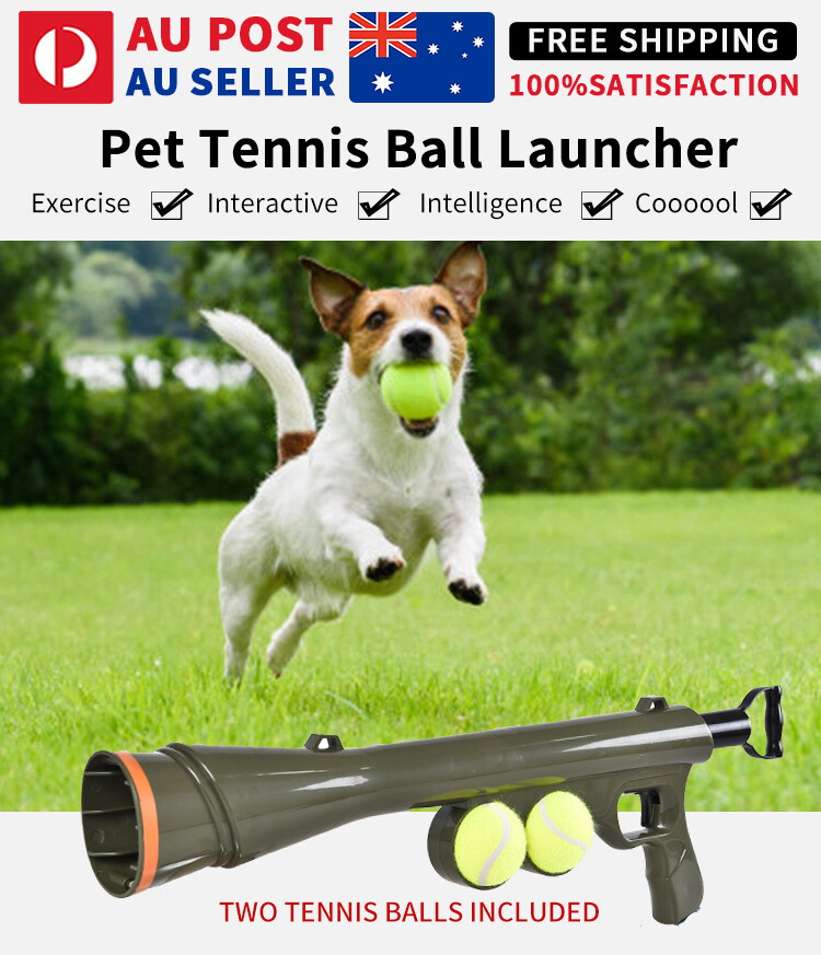 ball launcher for large dogs