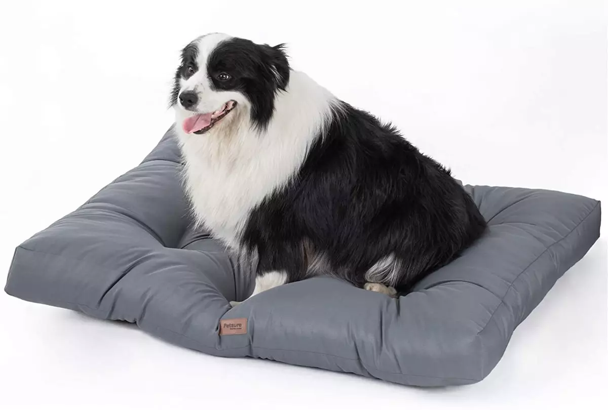 Lit pour chien imperméable sale