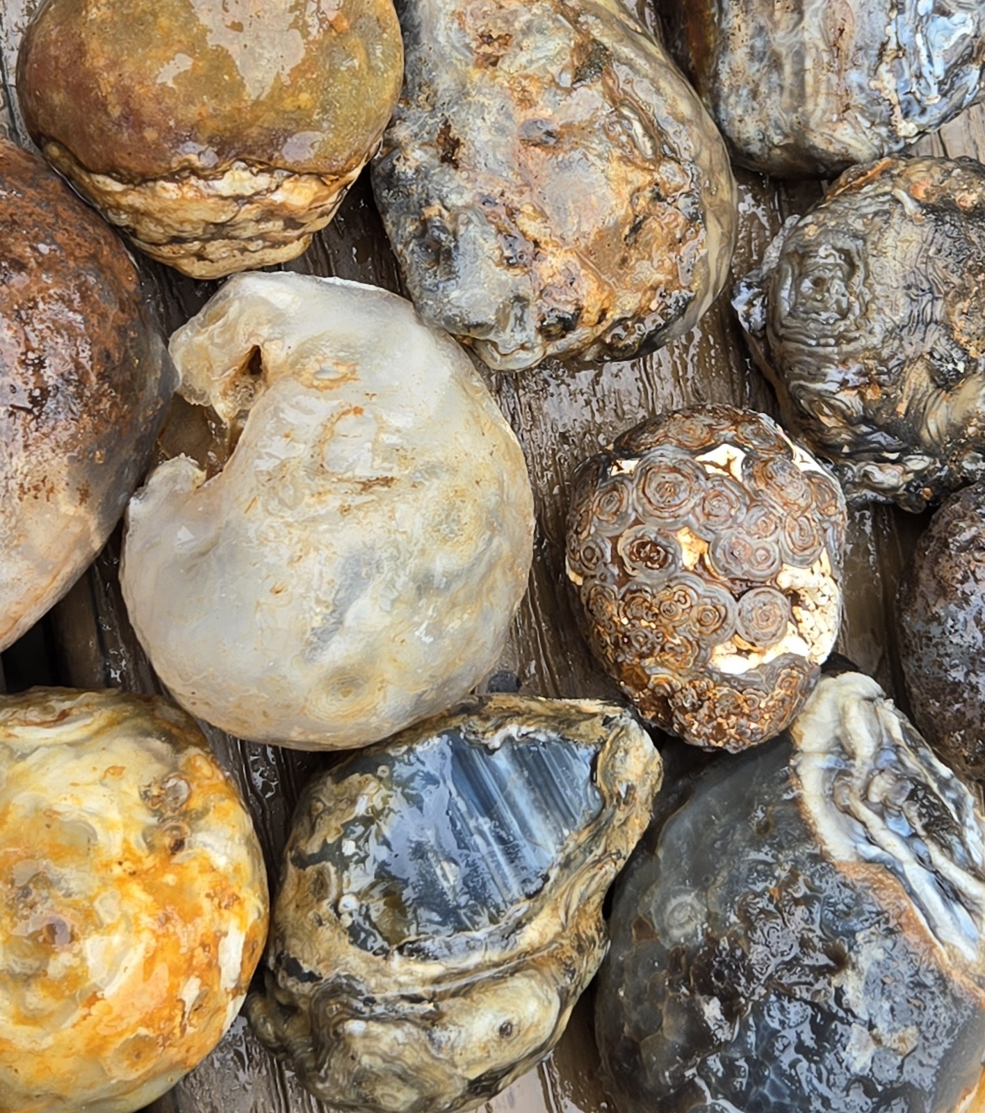 Oco Agate Geodes Whole - Mine Run Rough - 1 Pound Lb - Mostly Solid Agate