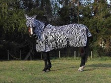 Light Zebra fly rug complete with removable mask and full belly Coverage 5”0-7”0