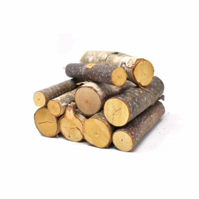 ESC04 Assorted Birch Mini Logs, Natural, 10-piece