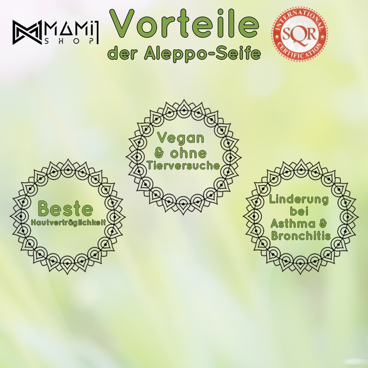 Bild 6 von 6
