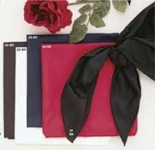 New! WESTERN NYLON WILD RAG For Cowboy bandana scarf costume accessory 4 COLORS!