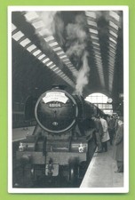60106 FLYING FOX AT UNKNOWN LOCATION 2/5/64 .PHOTOGRAPH 9 x 14cms