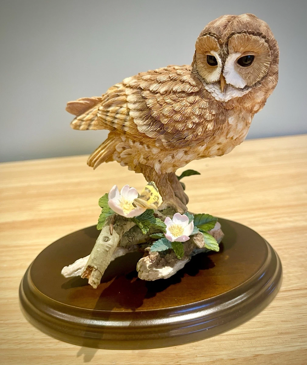 country artists owl products for sale | eBay UK