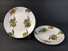 Ridgway England Fruits Earthtones Pattern RID 13 Salad Plates (Set of 4) 8-1/8"d