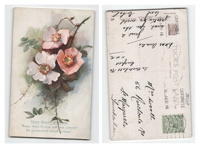 Postkarte - Raphael Tuck Oilette Viele Happy Returns Blumengrüße POSTED