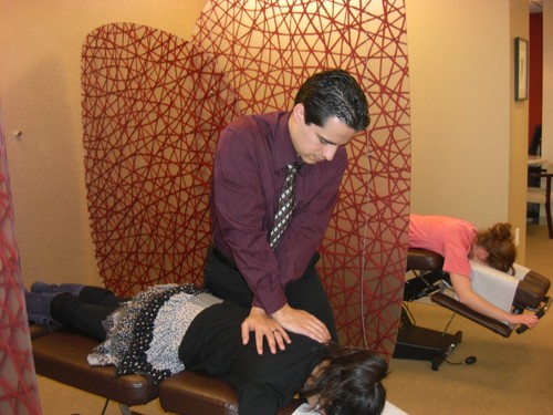 Chiropractor Practice Business Plan - Picture 1 of 3