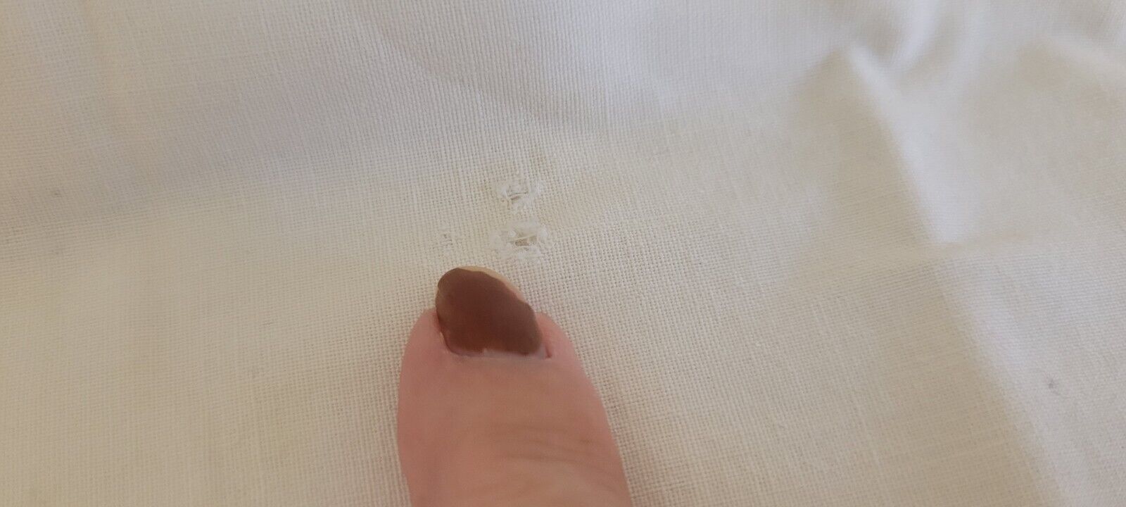 Foto 5 di 12