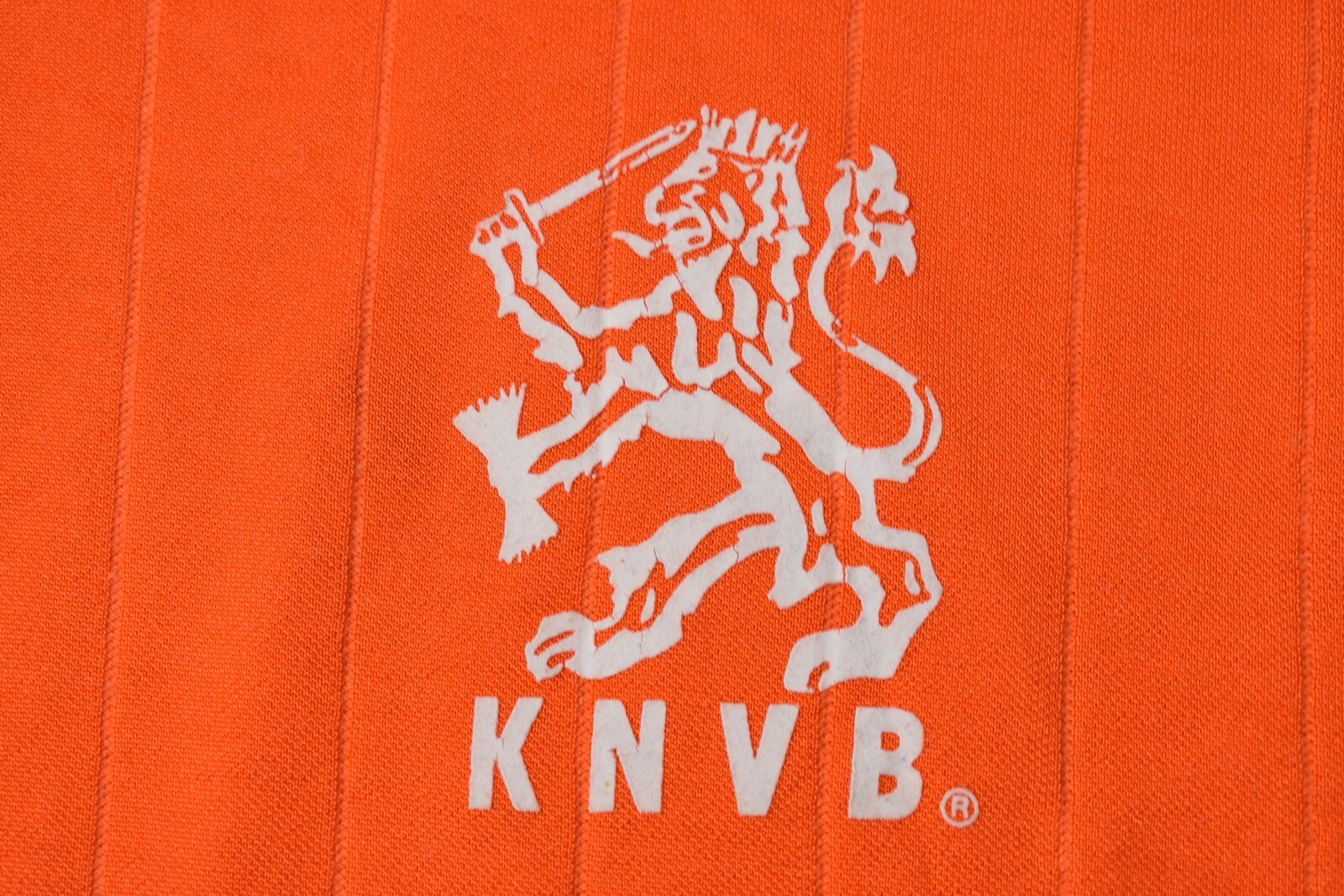Bild 9 von 12