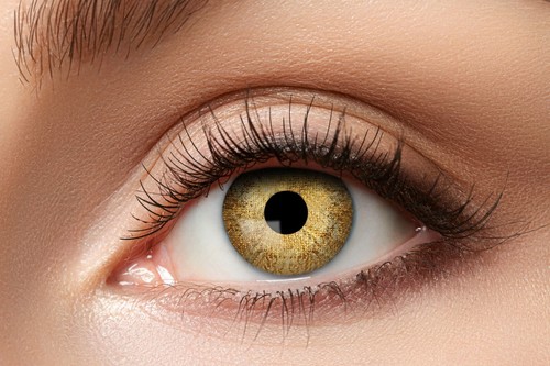 Kontaktlinsen 12 Monats Linsen Gold Goldfarben 4 Modelle ohne Stärke Halloween - Bild 2 von 7
