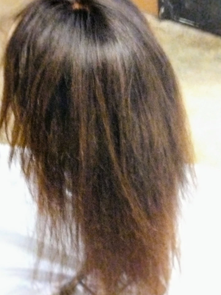 Cabello humano 100% remy. Ombre marrón a dorado marrón, peluca encaje sin pegamento, pieza gratis Foto 3 de 4