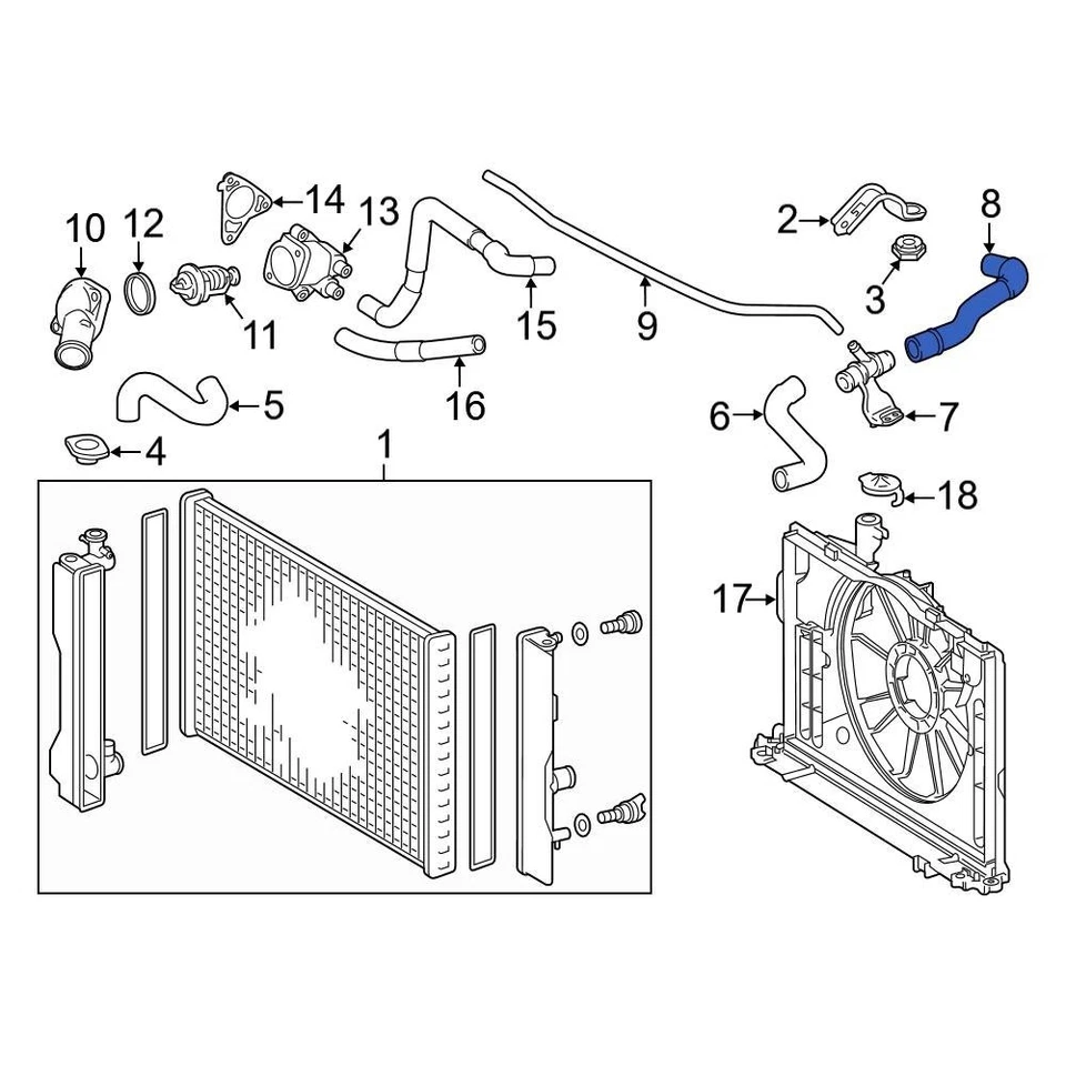 For Toyota Corolla 2009-2019 Toyota 165720T040 Lower Radiator Coolant Hose Foto 4 de 4