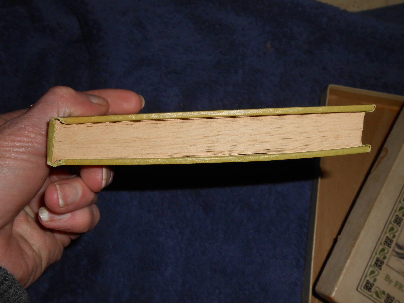 Picture 2 of 6
