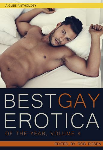 Best Gay Erotica of the Year, Volume 4 Format: General/trade